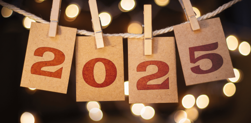 Metas de ano novo_como organizar as financas para conquista-las em 2025